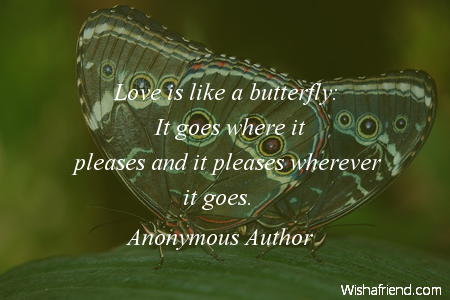 Butterfly Quotes